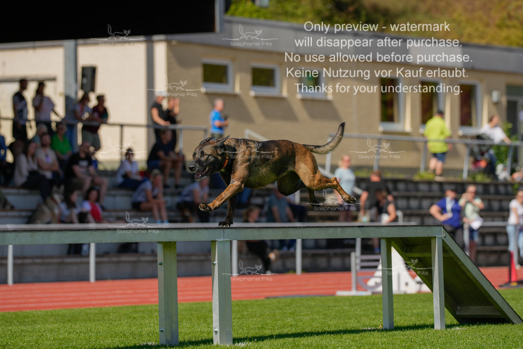 Sonntag_VK Hindernis (167 von 671) | stephaniefillaphotographie - Realisiert mit Pictrs.com