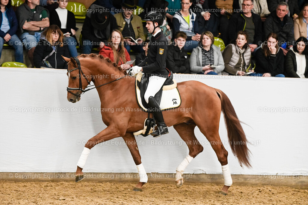 20260307_Hengstvorstellung-Marbach_0281 | equistock