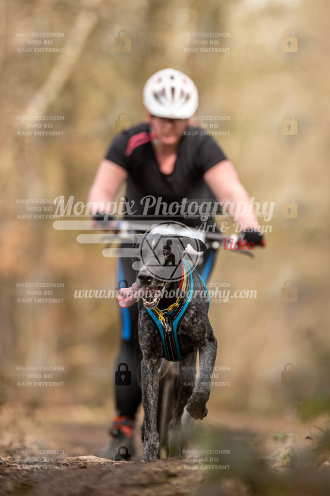 SPA_2023_SAM_Scooter-64 | PayLife