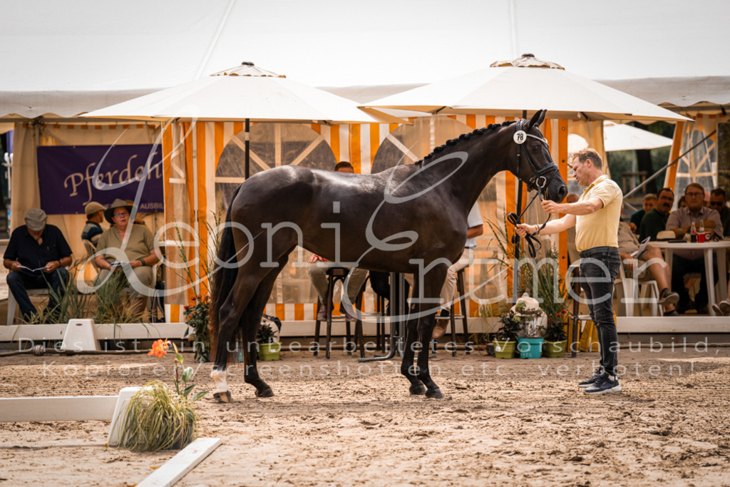 4.Fr00069 | Leoni Ertmer Photography - Realisiert mit Pictrs.com