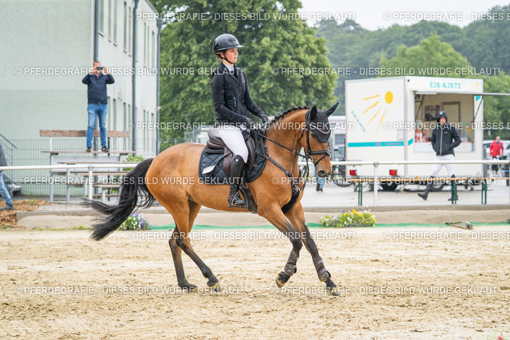 DSC02971 | Pferdegrafie