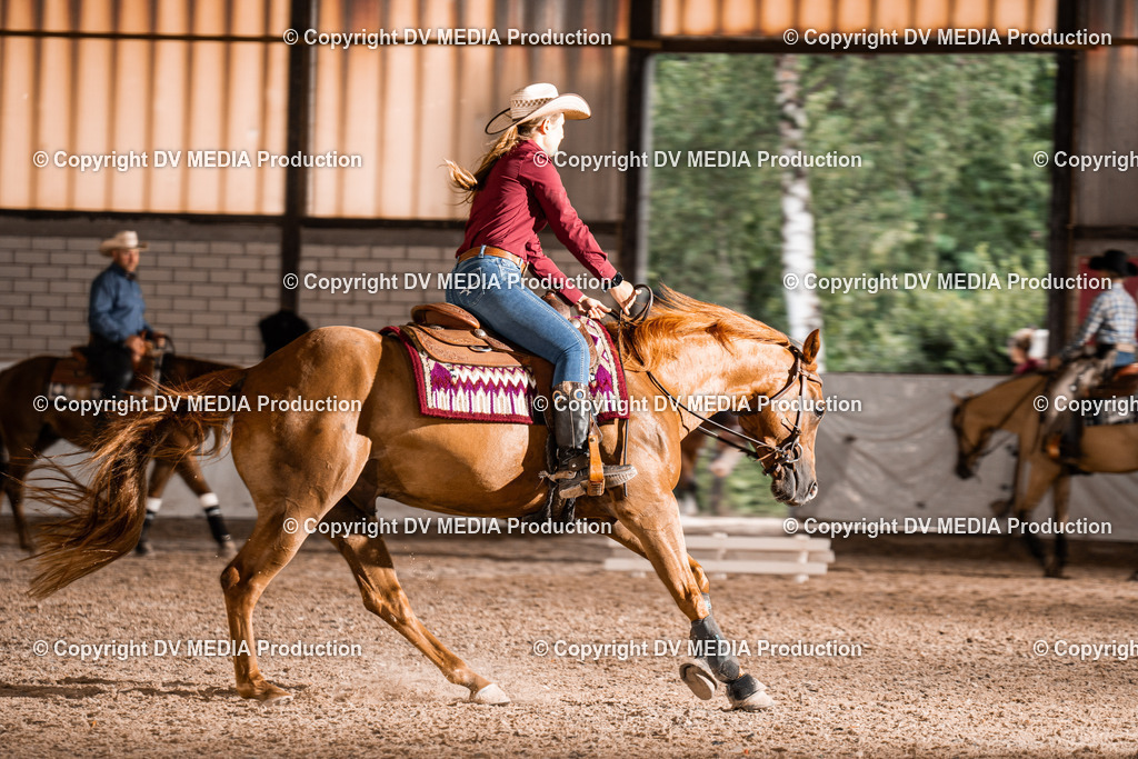 ZH300283 | dv-media-shop - Realisiert mit Pictrs.com