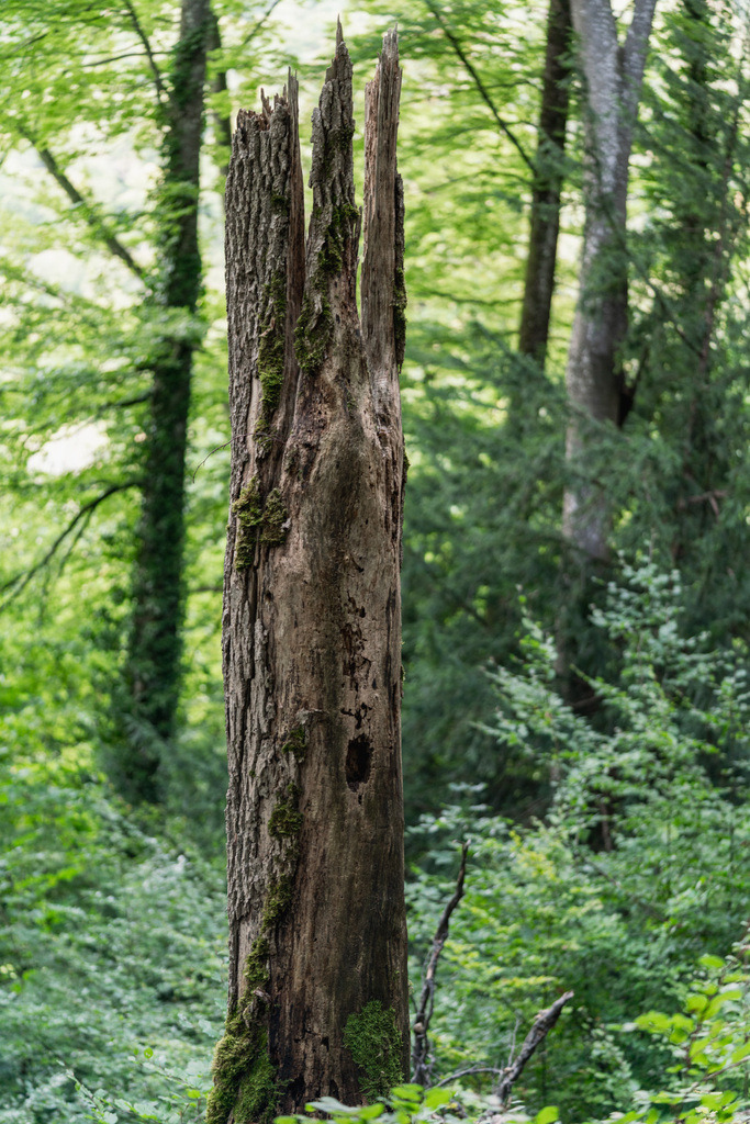 ZD250916101615 | Fotoshop von zweidimensional Fotografie. Ihr Fotograf im Aargau. Abzüge von Ihrem Fotobox Event bestellen.Abzüge von Ihrem Hochzeit bestellen.Abzüge von Ihrem Schulfotograf bestellen.
