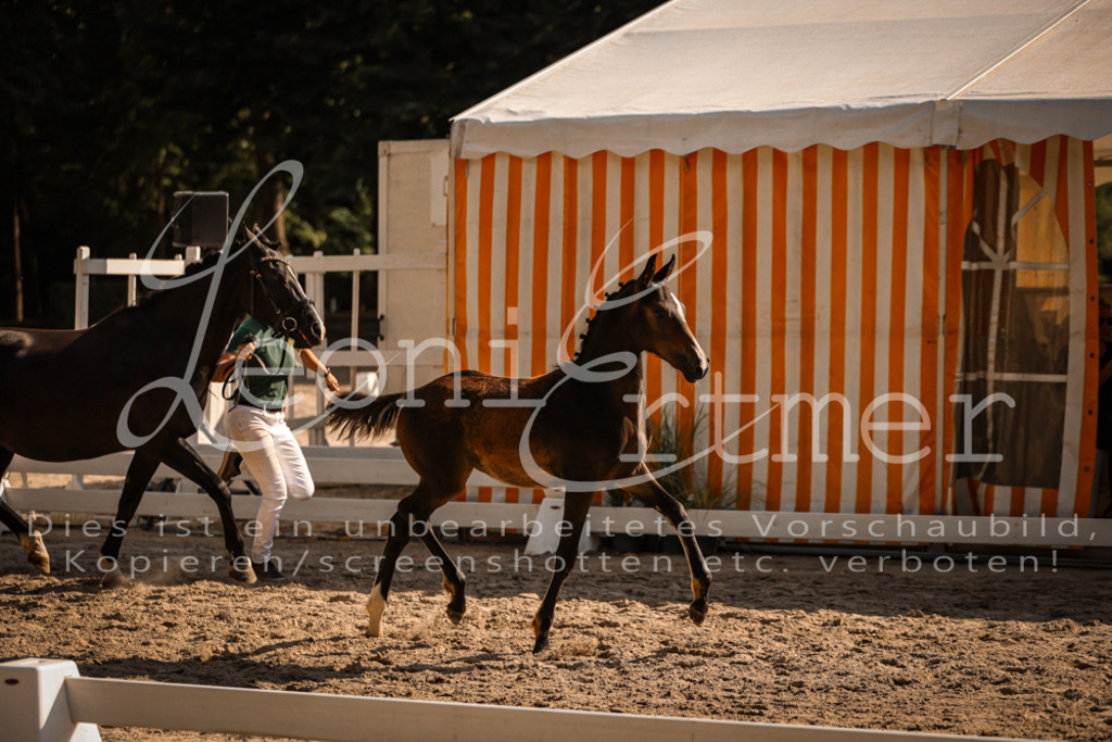 11.DoRP00076 | Leoni Ertmer Photography - Realisiert mit Pictrs.com