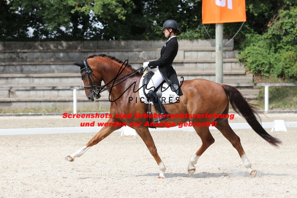 IMG_7109 | lmwpictures - Realisiert mit Pictrs.com