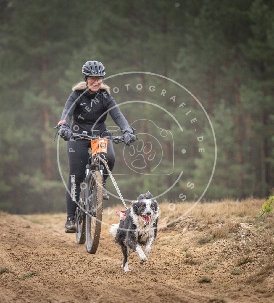 Pfotenfotografie_DV3A4042 | Hundefotografie, Tierfotograf, Pfotenfotografie, Fotoshooting Hund, Hunde Portrait, Hundesport, Hundeportraits, Heideshooting, Hunde, Sportfotograf, Hundefotograf, Turnierhundsport, THS,  - Realisiert mit Pictrs.com