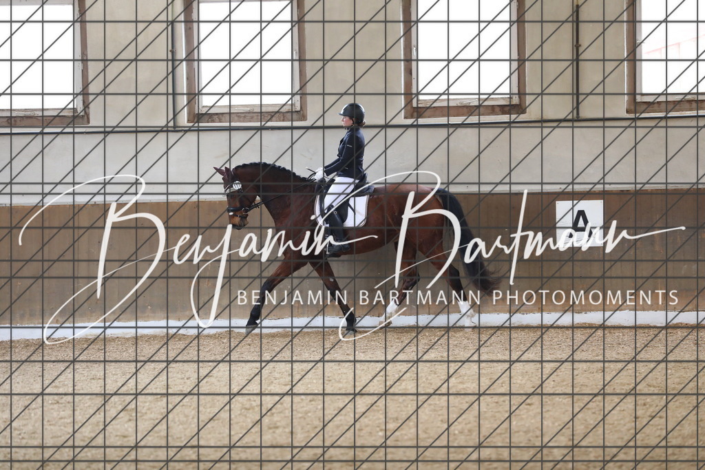 AZ2A0496 | Benjamin Bartmann Photomoments