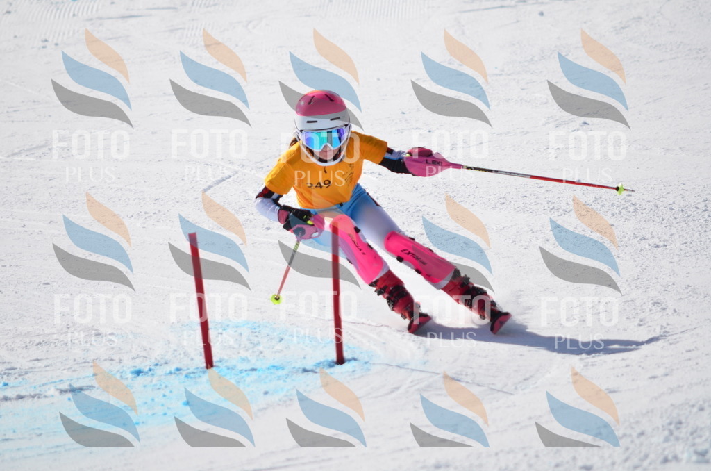 C8433 | holidayphoto