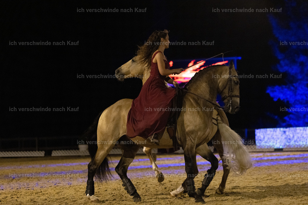 FHClassics-331 | working equitationturnier fotograf videograf stoibphotography marixx film working equitation deutschland reitsport turnierfotografie eventfotografie equestrian events