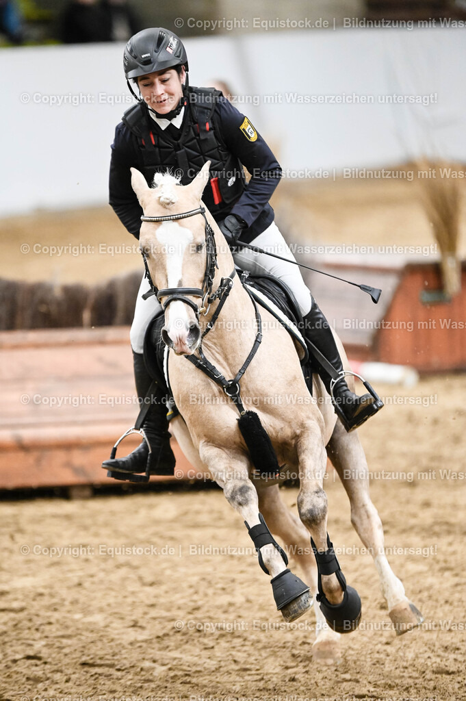20260307_Hengstvorstellung-Marbach_0405 | equistock