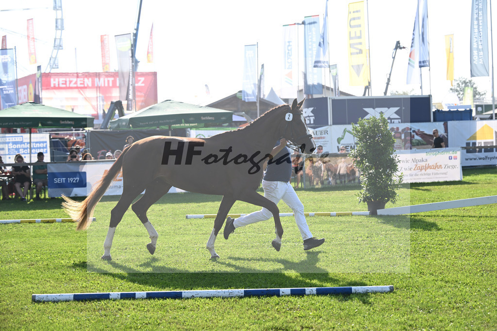 Kat-Nr. 2  Daressalam_Hoffmeister_34240005 | hf-fotografie - Realisiert mit Pictrs.com