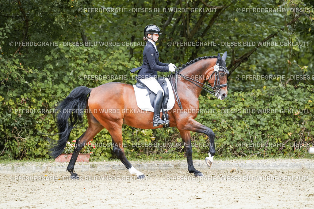 DSC07799 | Pferdegrafie