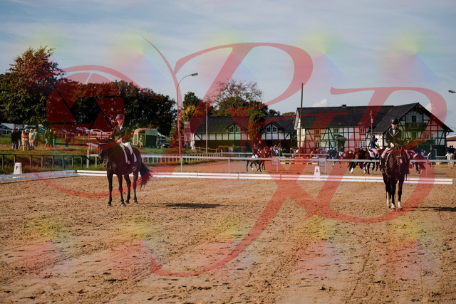 2026_10_03_Siefer-Hof_121822_Z63_42066462 | Professionelle Reitsport-, Turnier- und Eventfotografie von Robert Broda. Galerien mit ausgewählten und bearbeiteten Bildern direkt online ansehen und bestellen.