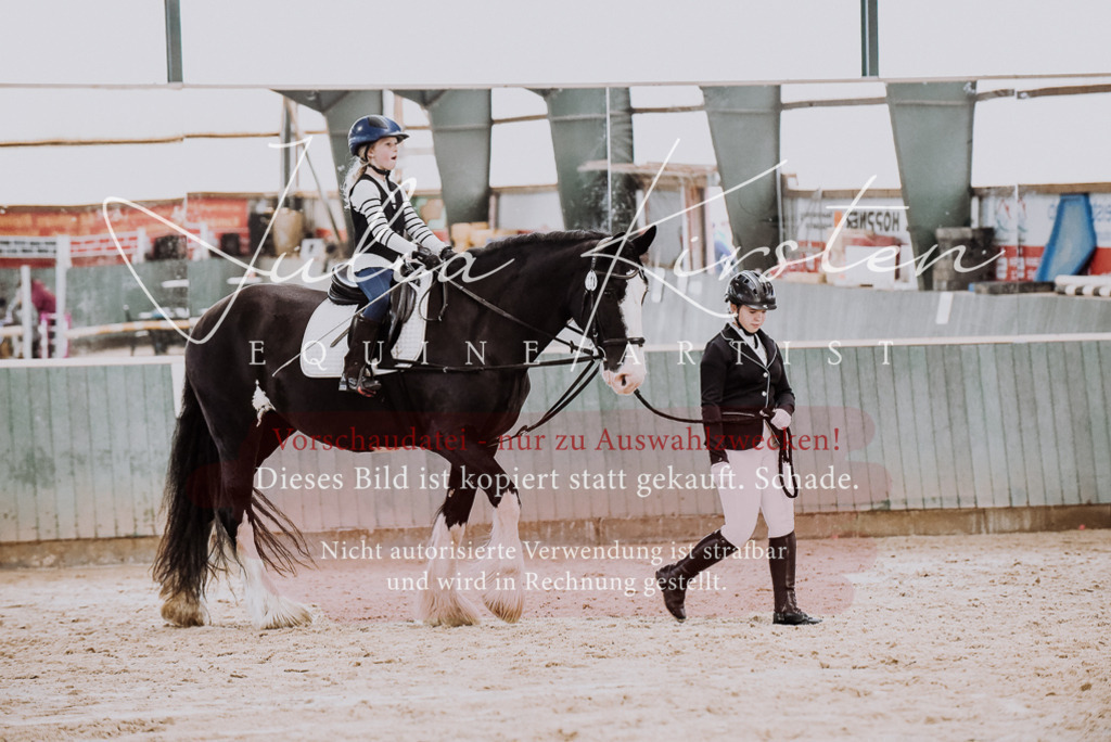 DSC_6843 | Pferde- und Turnierfotografie in Westsachsen. Pferdeportraits, Auftragszeichnungen und intuitive Kunst.
