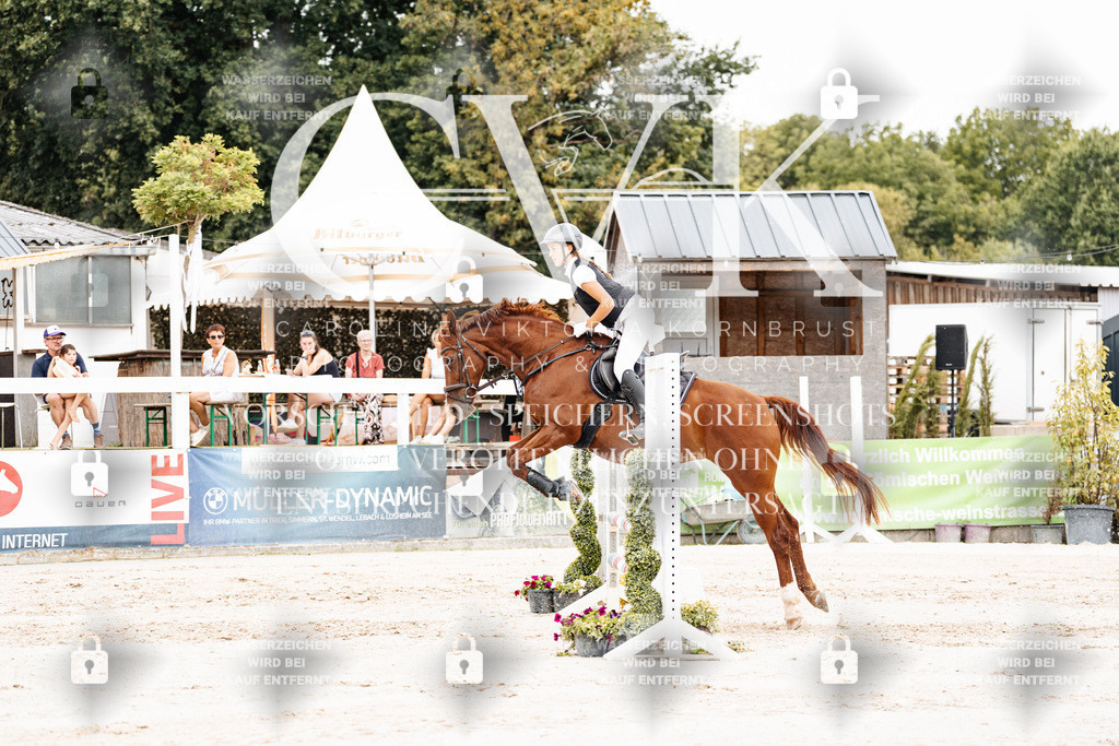 CK908174 | Turnierfotografie Pferdefotografie Trier Rheinland-Pfalz Pferdesport Reitsport Tierfotografie Sportfotografie Pferdevideo Pferdevideografie Equestrianvideography equestrianphotography  - Realisiert mit Pictrs.com