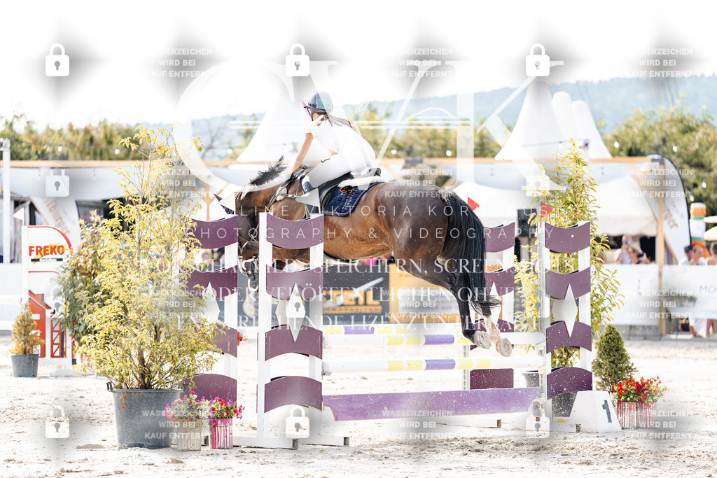 CK905918 | Turnierfotografie Pferdefotografie Trier Rheinland-Pfalz Pferdesport Reitsport Tierfotografie Sportfotografie Pferdevideo Pferdevideografie Equestrianvideography equestrianphotography  - Realisiert mit Pictrs.com