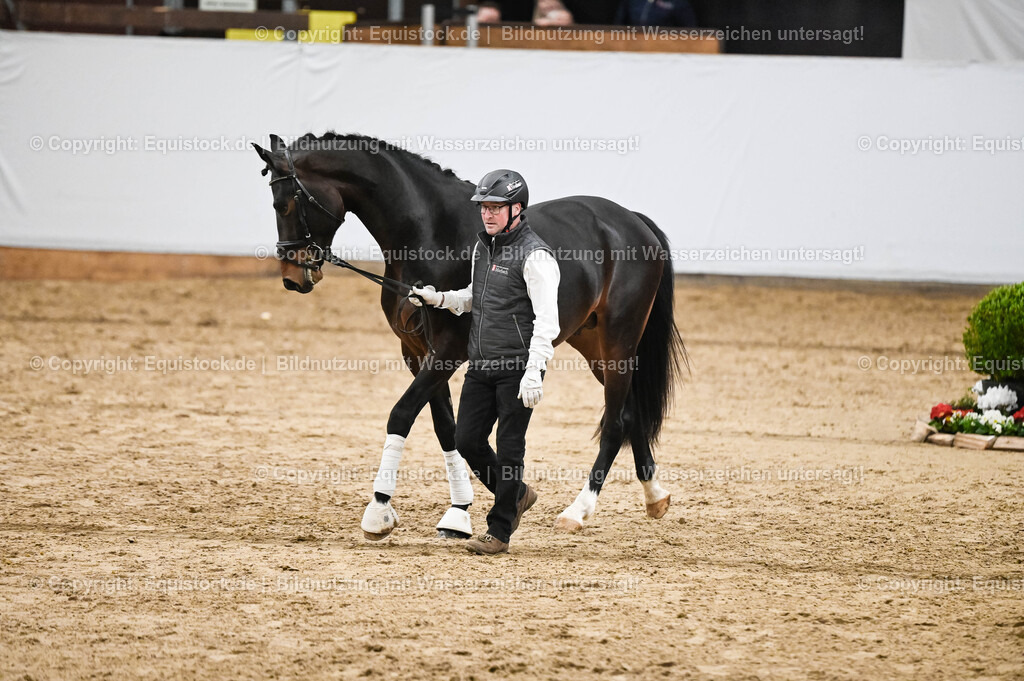 20260307_Hengstvorstellung-Marbach_0306 | equistock