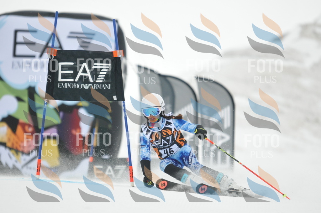 DSC_7674 | holidayphoto