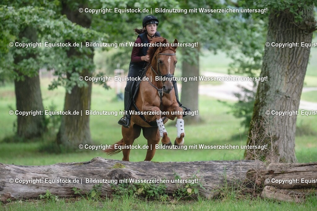 20250726_Vielseitigkeitslehrgang-Marbach_0216 | Foto: Thomas Hartig