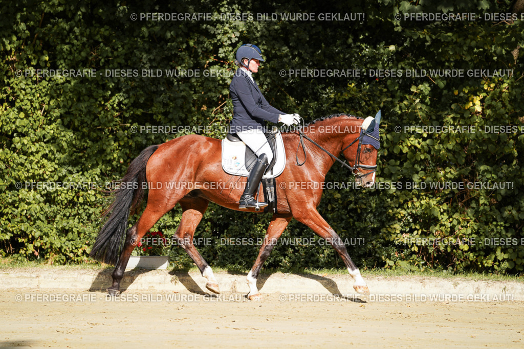 DSC07514 | Pferdegrafie