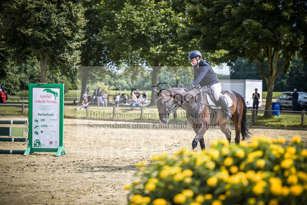 DOS_4895 | Entdecke hochwertige Reitturnierfotos von Foto Oger. Professionell, emotional und authentisch – jetzt Lieblingsmomente im Shop bestellen.Deutschlandweite Turnierfotografie. - Realisiert mit Pictrs.com