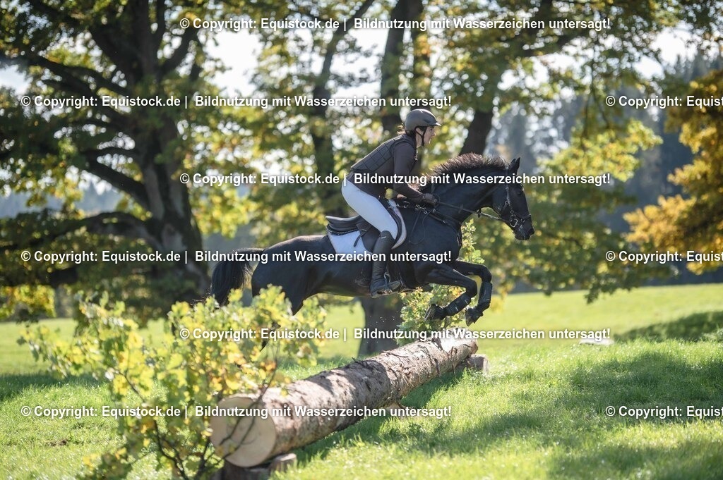 20251011_Jagd-Marbach_0439 | Foto: Thomas Hartig