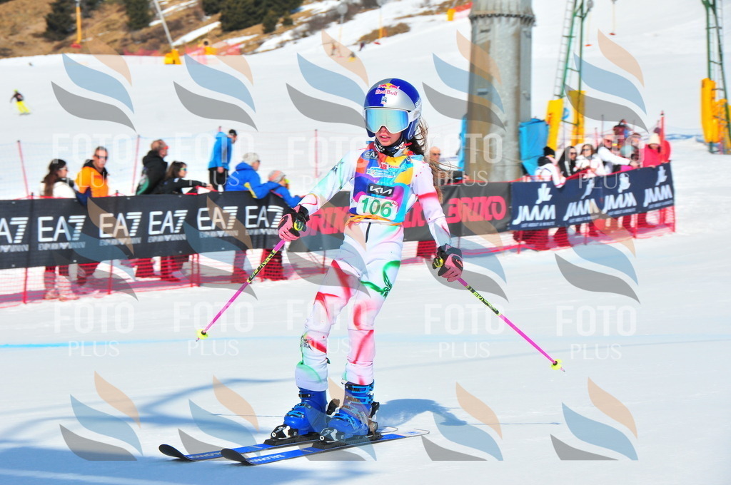 DSC_0782 | holidayphoto