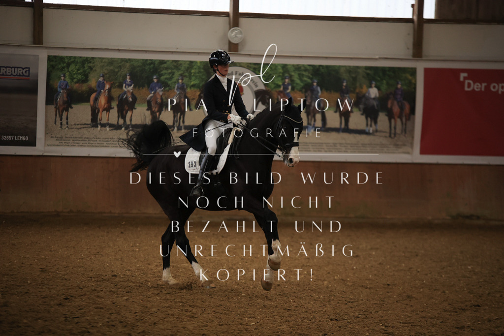 IMGT5979 | pl-fotografie