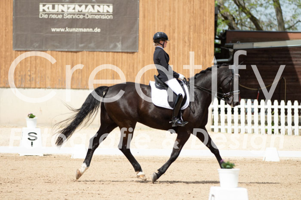 IMG_5925 | Creatify Fotografie