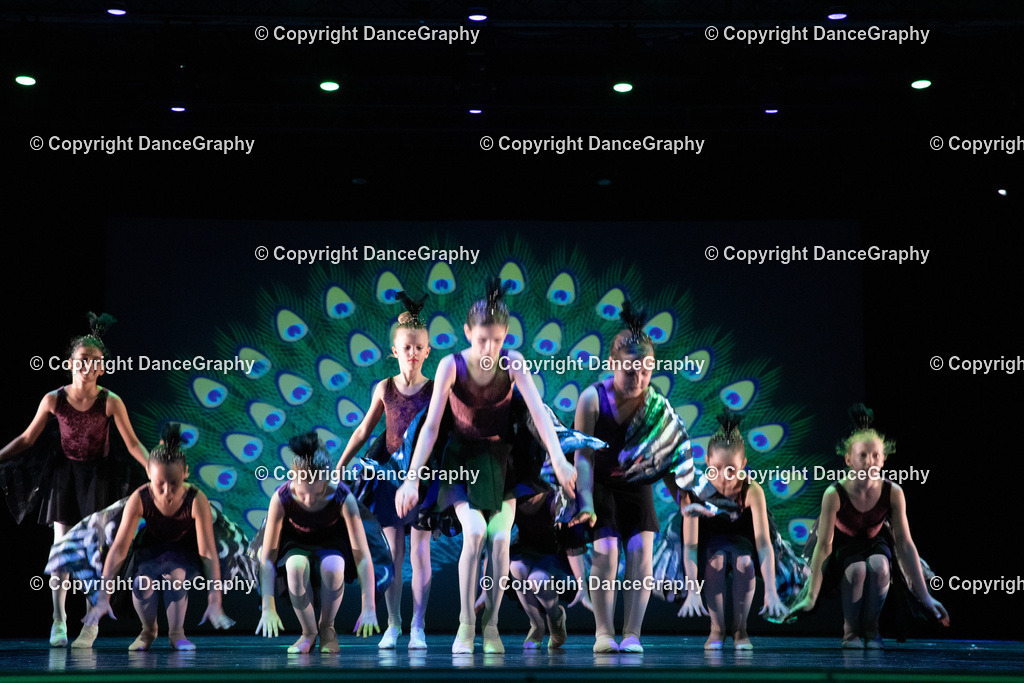 GPHY6147 | DanceGraphy - Realisiert mit Pictrs.com