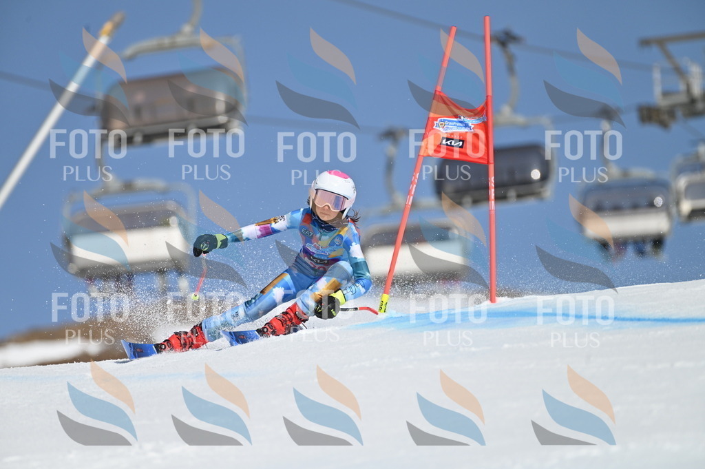 BGV_8896 | holidayphoto