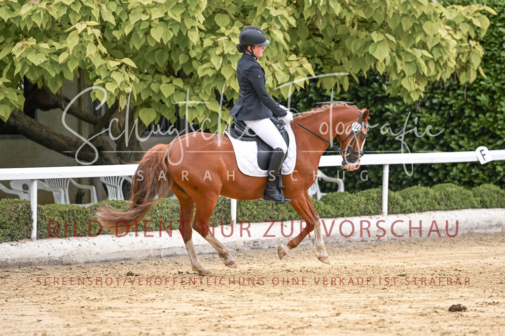 Schugtsche-Aluta25-42.EDressur -244 | Schugtsche Fotografie - Realisiert mit Pictrs.com