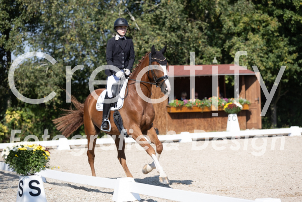 IMG_5543 | Creatify Fotografie