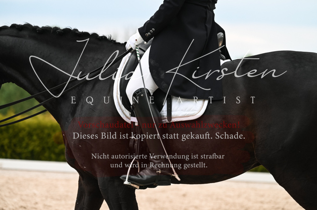 20230513_JK-Röhrsdorf-13-445 | Pferde- und Turnierfotografie in Westsachsen. Pferdeportraits, Auftragszeichnungen und intuitive Kunst.
