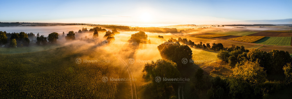 Ostalb bei Altheim im Nebel | löwenblicke | shop