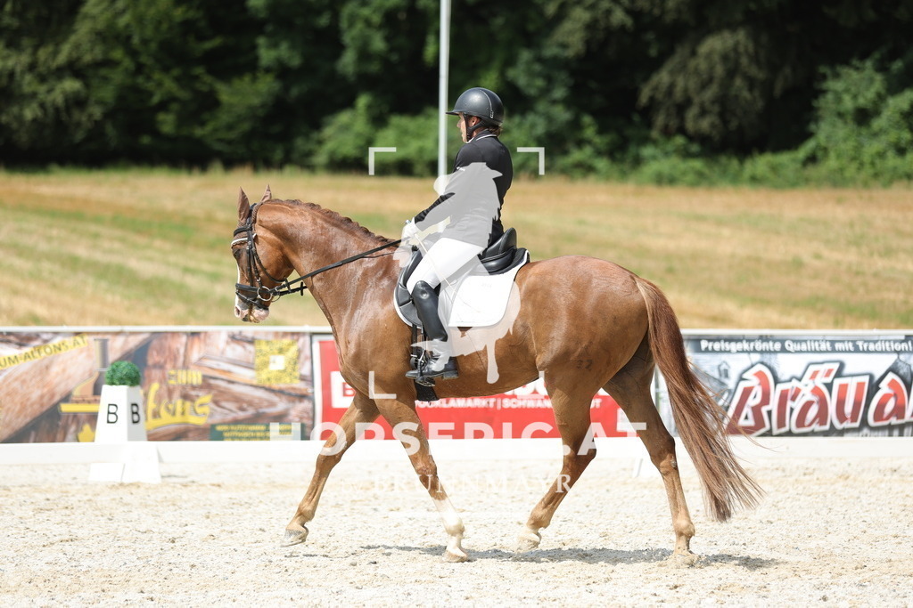 0P6A0618 | Willkommen bei Brunnmayr - Design & Fotografie – Ihrem Spezialisten für Reitturniere und Pferdeveranstaltungen in Oberösterreich, Salzburg und Bayern! Seit über 17 Jahren sind wir leidenschaftlich dabei.