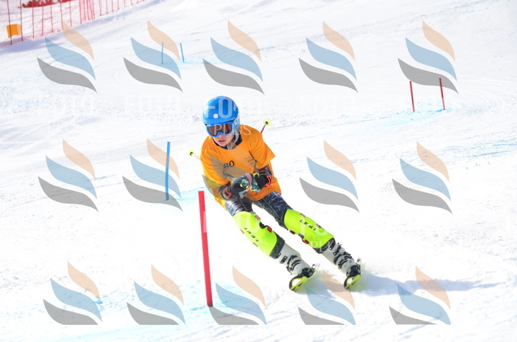 C7990 | holidayphoto