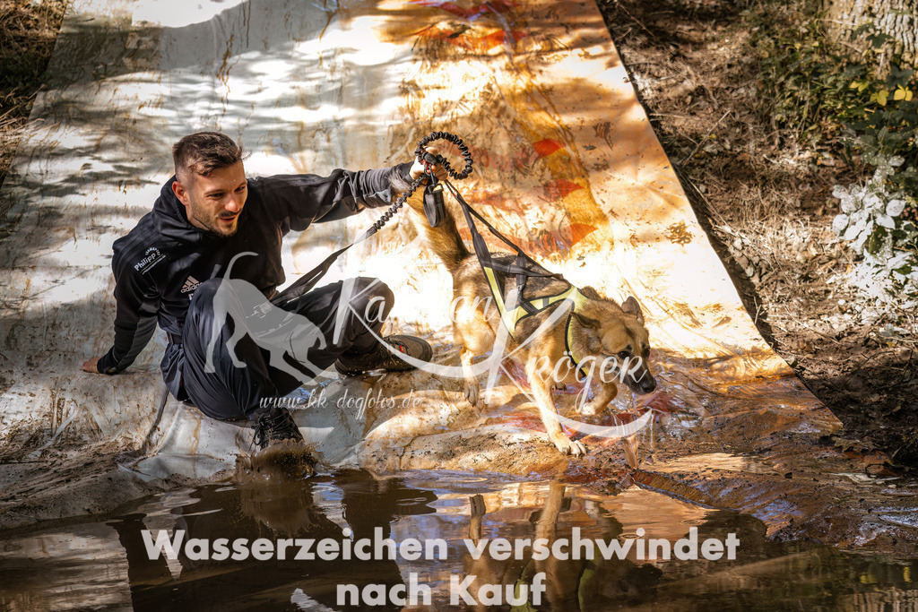 1310_ZZ90715 | kk-dogfotos