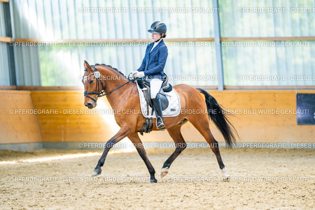 DSC07943 | Pferdegrafie