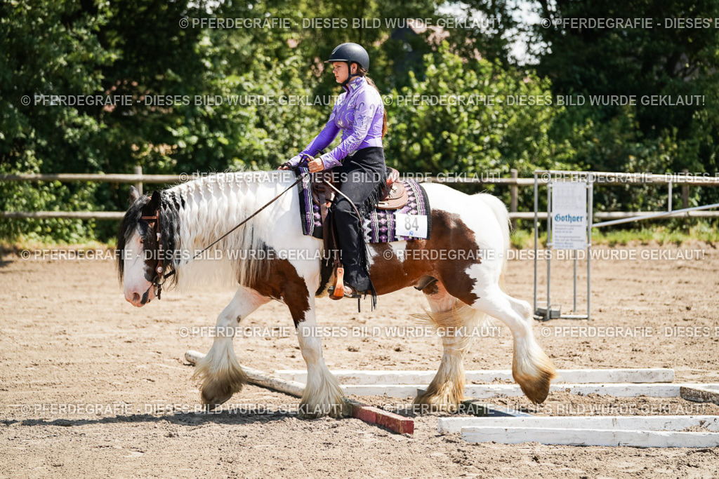 DSC07481 | Pferdegrafie