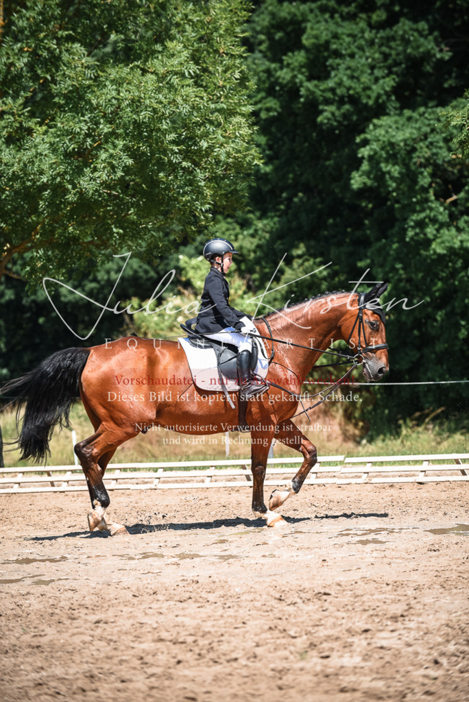 DSC_2994 | Pferde- und Turnierfotografie in Westsachsen. Pferdeportraits, Auftragszeichnungen und intuitive Kunst.
