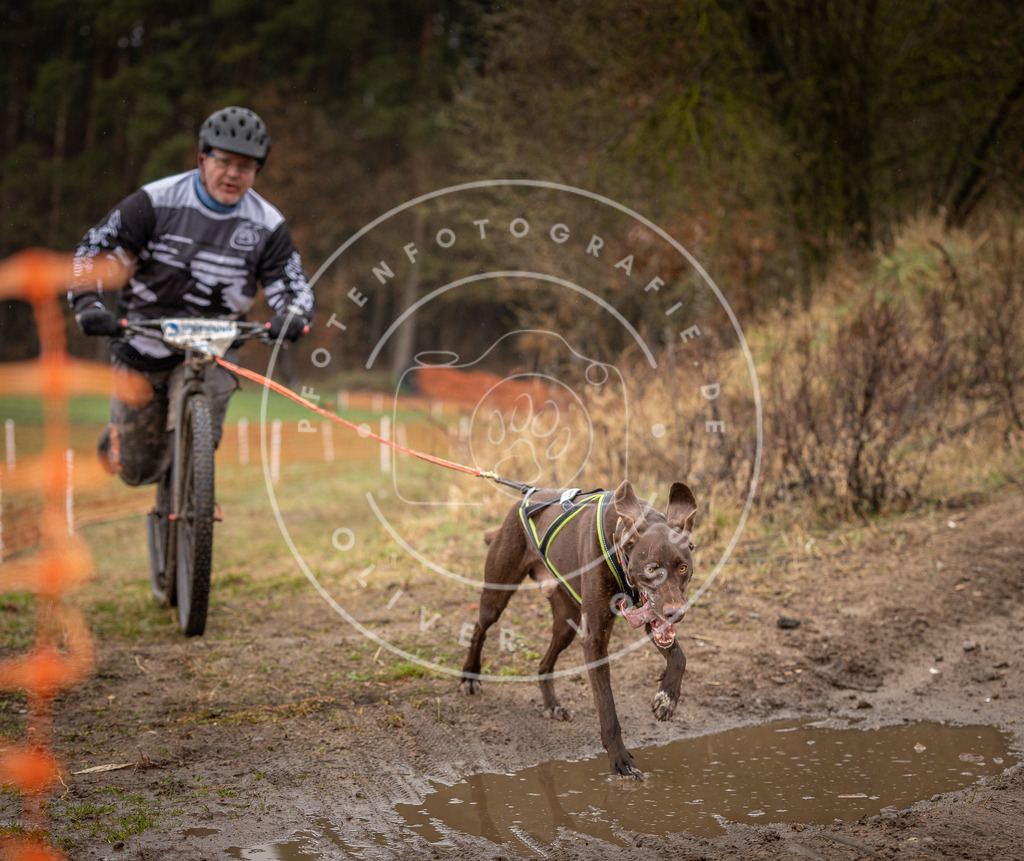 DV3A9451 | Hundefotografie, Tierfotograf, Pfotenfotografie, Fotoshooting Hund, Hunde Portrait, Hundesport, Hundeportraits, Heideshooting, Hunde, Sportfotograf, Hundefotograf, Turnierhundsport, THS,  - Realisiert mit Pictrs.com