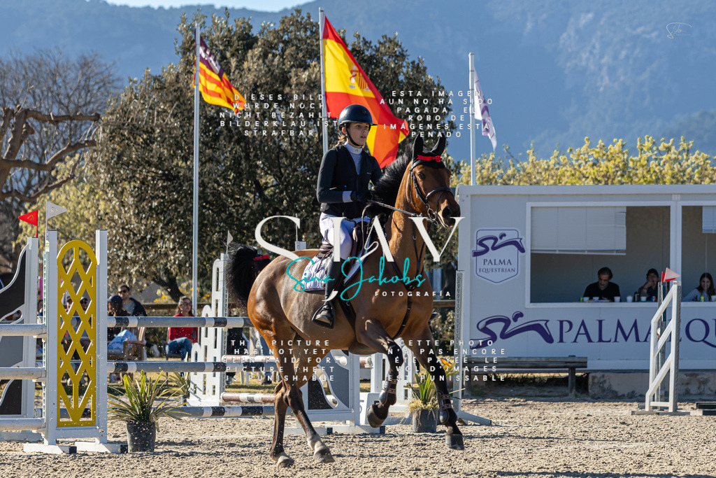 IMG_1782 | s-jay-photography - Realisiert mit Pictrs.com