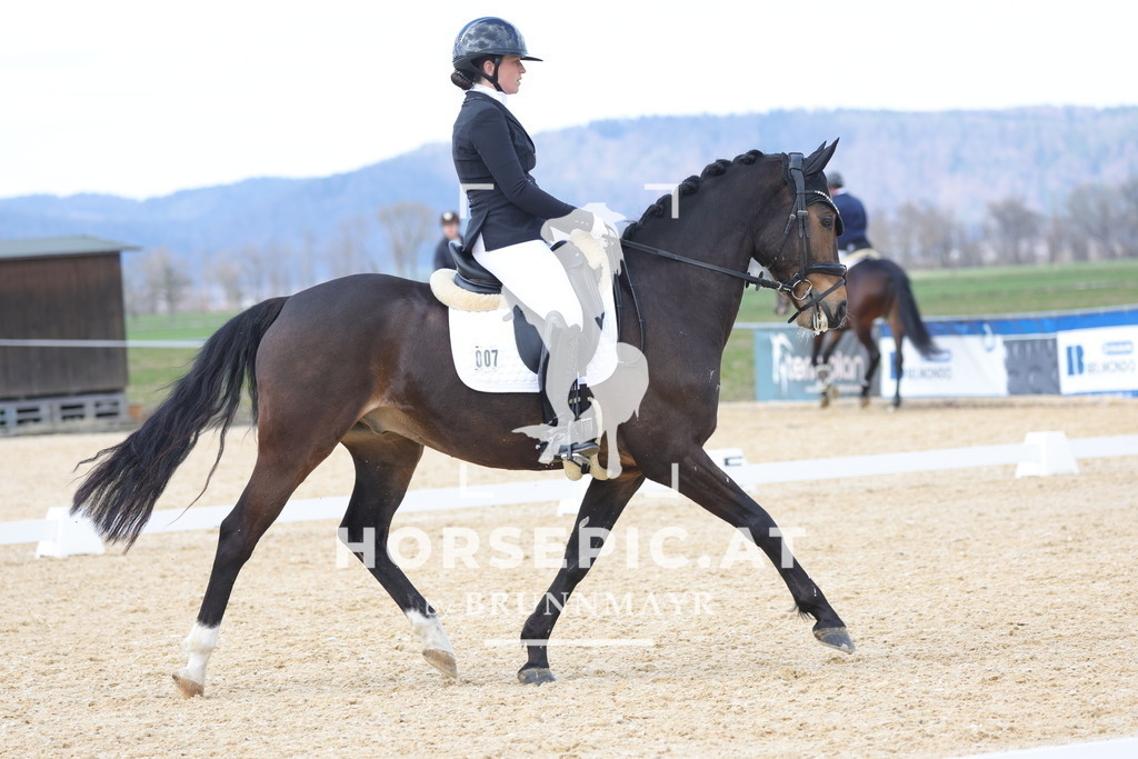 0P6A7445 | Willkommen bei Brunnmayr - Design & Fotografie – Ihrem Spezialisten für Reitturniere und Pferdeveranstaltungen in Oberösterreich, Salzburg und Bayern! Seit über 17 Jahren sind wir leidenschaftlich dabei.