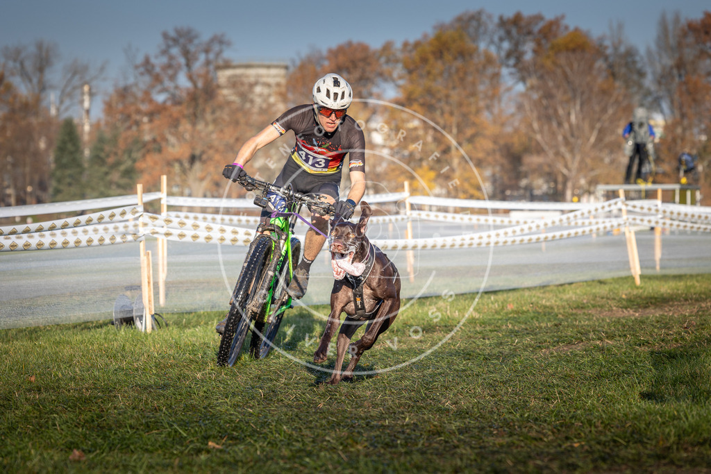 CaniXpix_0L8A4068 | Hundefotografie, Tierfotograf, Pfotenfotografie, Fotoshooting Hund, Hunde Portrait, Hundesport, Hundeportraits, Heideshooting, Hunde, Sportfotograf, Hundefotograf, Turnierhundsport, THS,  - Realisiert mit Pictrs.com