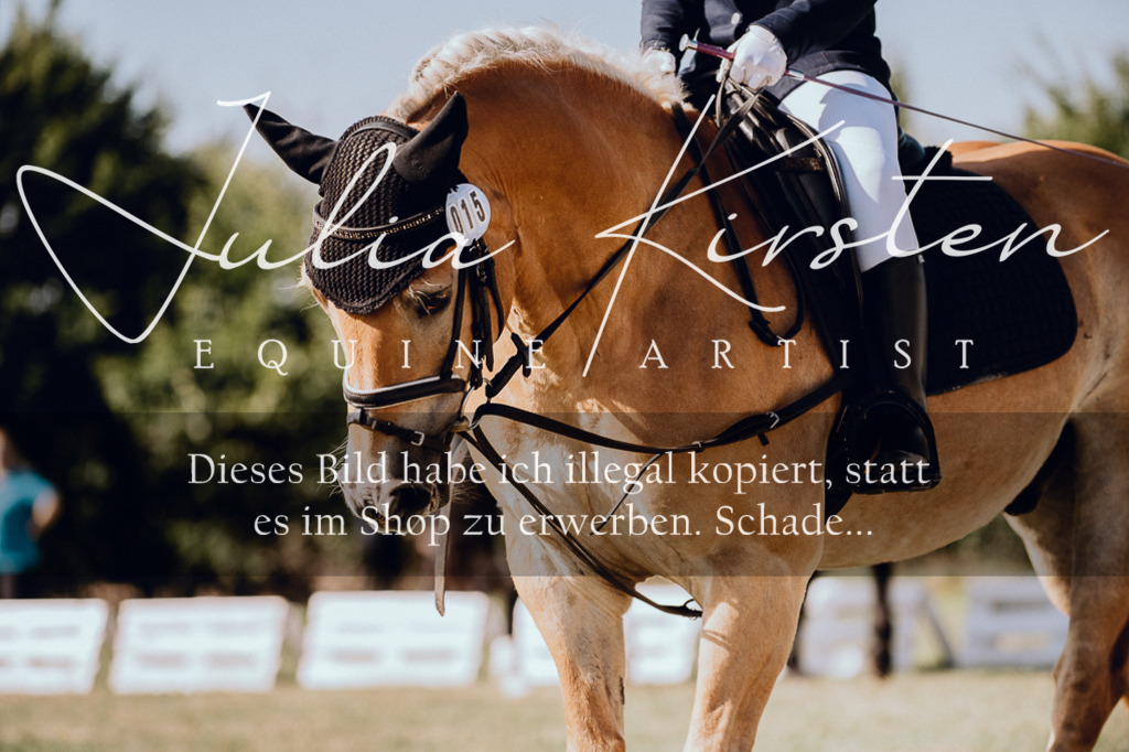 DSC_6950 | Pferde- und Turnierfotografie in Westsachsen. Pferdeportraits, Auftragszeichnungen und intuitive Kunst.