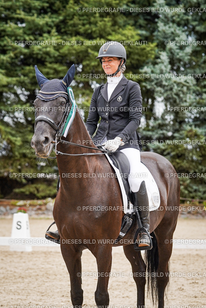 DSC04783 | Pferdegrafie