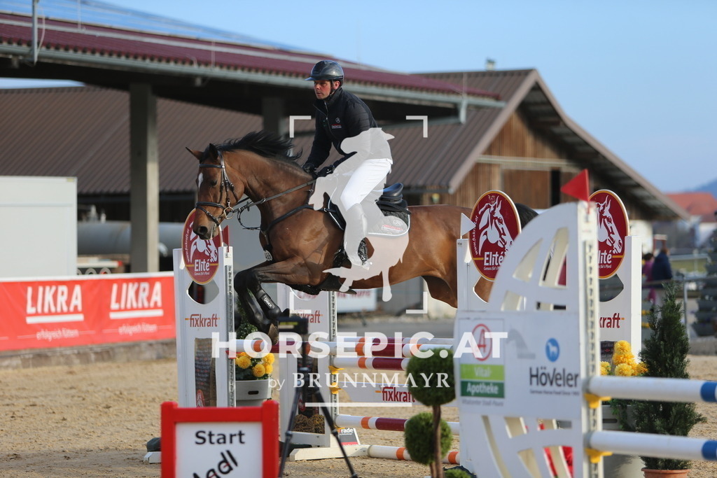 DL2Q8040 | Willkommen bei Brunnmayr - Design & Fotografie – Ihrem Spezialisten für Reitturniere und Pferdeveranstaltungen in Oberösterreich, Salzburg und Bayern! Seit über 17 Jahren sind wir leidenschaftlich dabei.