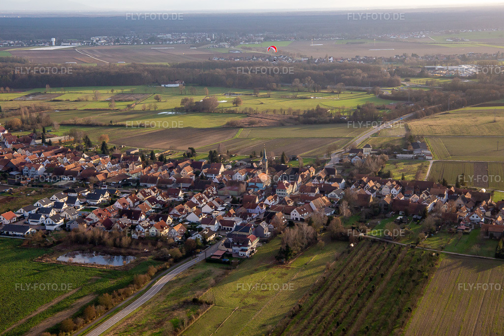 Luftbild: Ortsansicht von Norden in Erlenbach bei Kandel im Bundesland Rheinland-Pfalz in Deutschland. Foto: IMG_139377.jpg vom 16.12.2023 durch Werner Riehm/FLY-FOTO.de