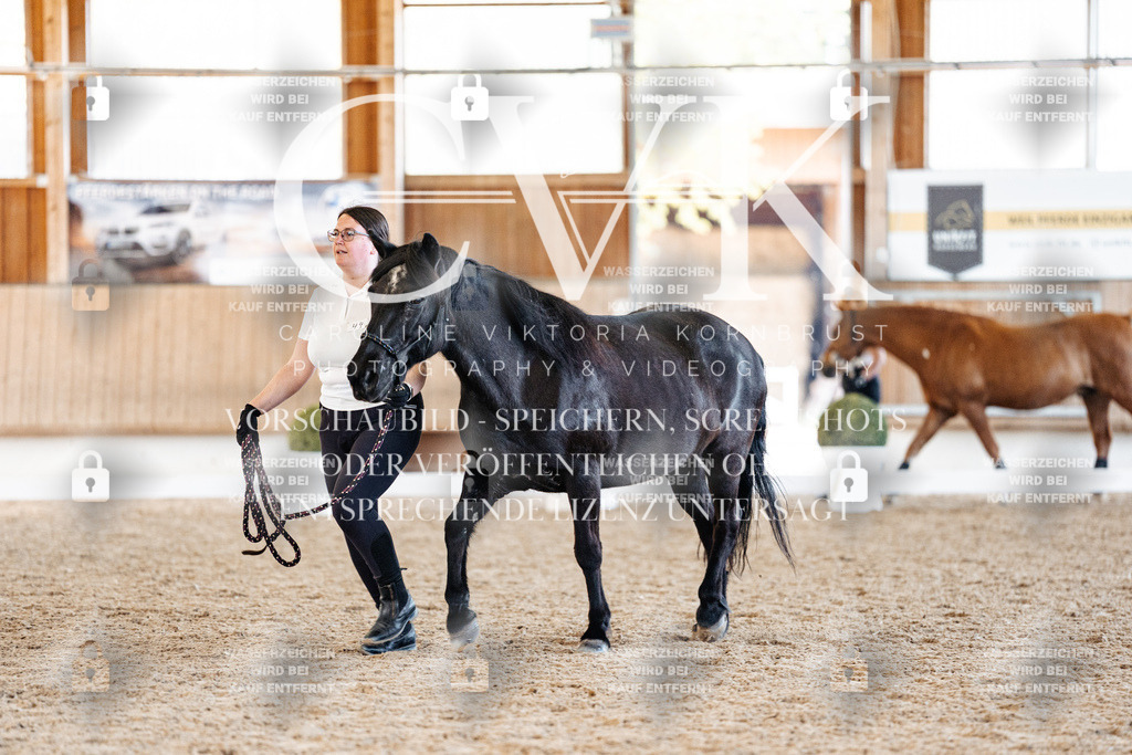 CK906501 | Turnierfotografie Pferdefotografie Trier Rheinland-Pfalz Pferdesport Reitsport Tierfotografie Sportfotografie Pferdevideo Pferdevideografie Equestrianvideography equestrianphotography  - Realisiert mit Pictrs.com